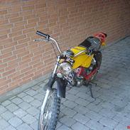 Puch Pioneer (SOLGT)
