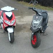 Gilera stalker