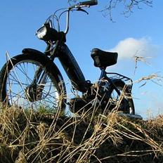 Puch Maxi (solgt)