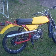 Puch Pioneer (SOLGT)