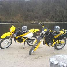 Suzuki RMX 50 LC DD ((TILSALG))