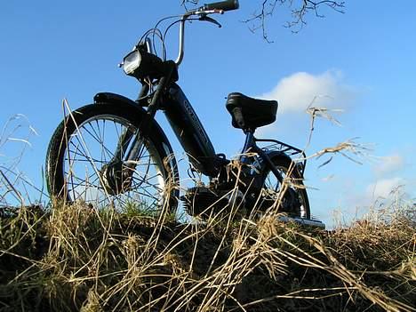 Puch Maxi (solgt) billede 1