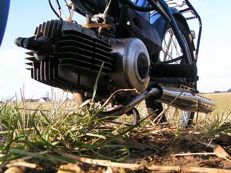 Puch Maxi (solgt) billede 3