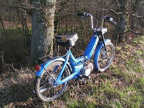 Puch Maxi (solgt) billede 5