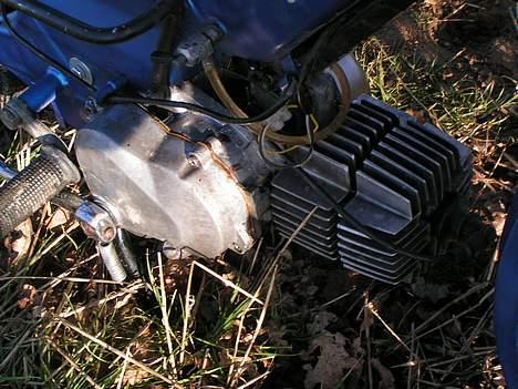 Puch Maxi (solgt) billede 10