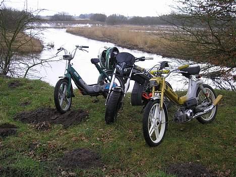 Suzuki byttet til rs 50 billede 6