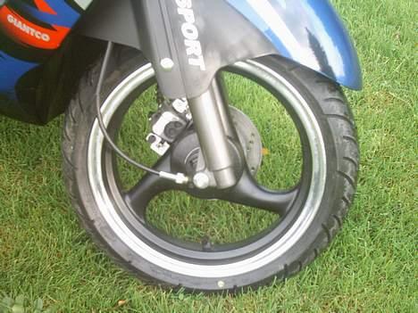 Giantco Sprint SOLGT billede 7