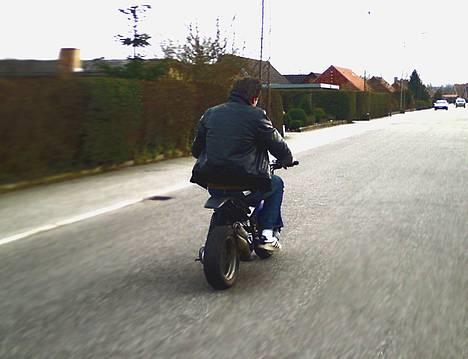 Suzuki Street Magic | Solgt. - Champen selv, på svinet ;P billede 1