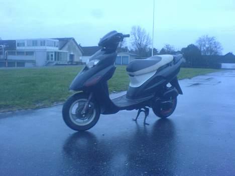 Honda SFX SOLGT billede 2