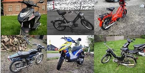 Puch Maxi KL SOLGT - de har følgt mig i tykt og tyndt dem alle :-D Pocketbikes osv er ikke med de hører ligesom ikke til på dette billede :-P billede 11
