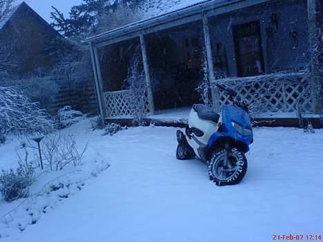 PGO Dr Big - 21/02/07 (FØR !) billede 11