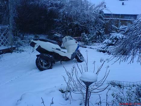 PGO Dr Big - 21/02/07 (FØR !) billede 12