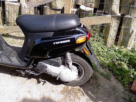 Piaggio Typhoon (SOLGT) billede 2