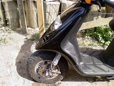 Piaggio Typhoon (SOLGT) billede 3