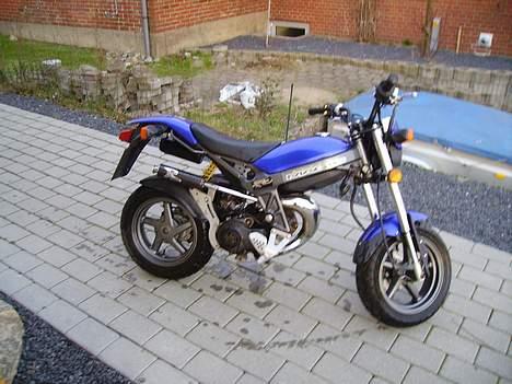 Suzuki Street magic byttet billede 8