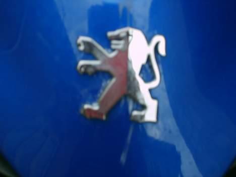 Peugeot Speedfight 2 Hirtshals:) billede 12