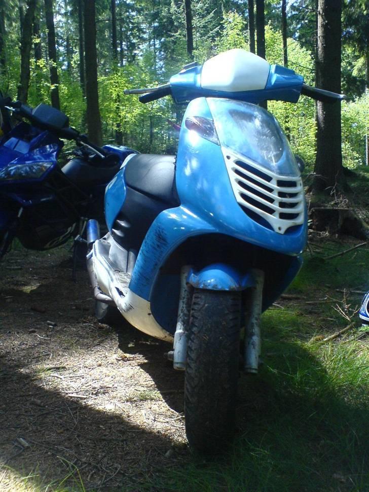 Aprilia    Sonic BYTTET - Ja, skovtur i Silkeborg..  billede 1