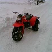 Honda ATC 125M