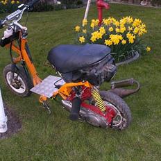 PGO hot 50 lc (BYTTET) 