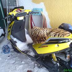 Aprilia Aprilia sr 50 Ditech
