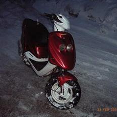 PGO hot 50 (frøen) (SOLGT)