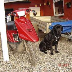 Yamaha jog as ( SOLGT )