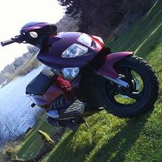 PGO        Dr.Big HPR [SOLGT]