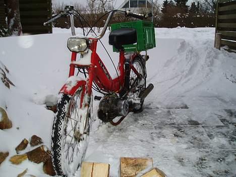 Puch Maxi - S   Ice Edition billede 3