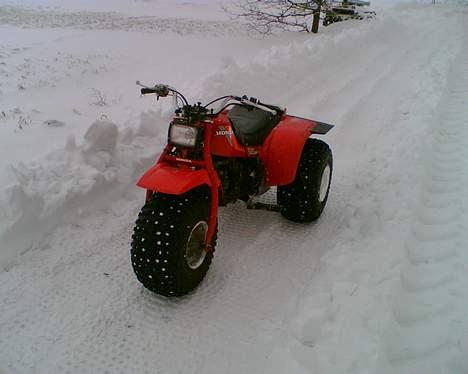 Honda ATC 125M billede 1