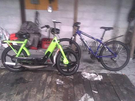 Vespa ciao (Hirtshals) solgt - det er taget med mobil) ciaoen og min cykel... billede 20