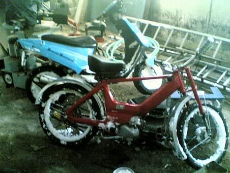 PGO Hot 50 - Maxien og hotten billede 6