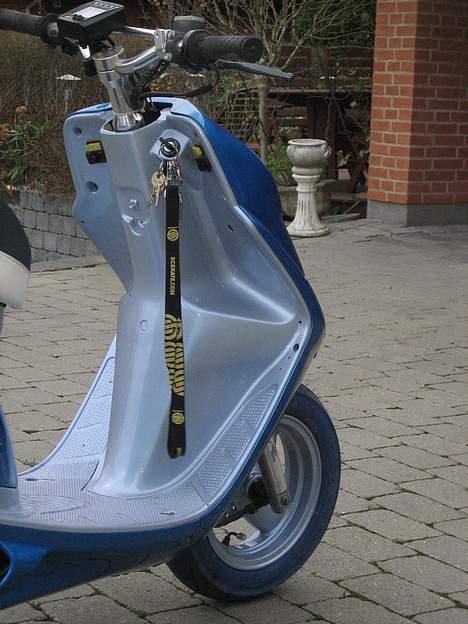 Honda SFX - dejlig farve <3 billede 7