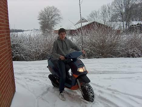 Aprilia Rally billede 6