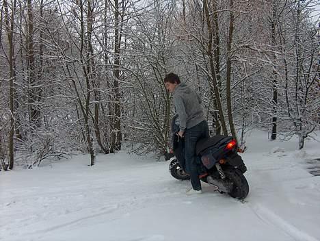 Aprilia Rally billede 7