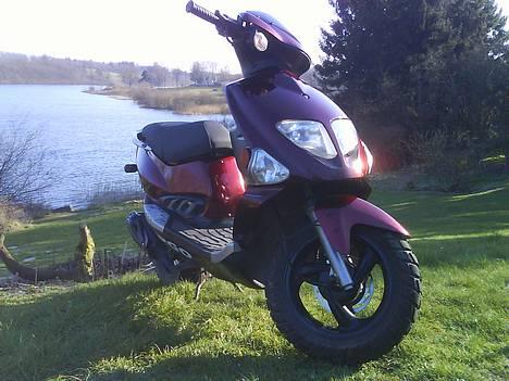 PGO        Dr.Big HPR [SOLGT] billede 9