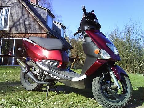 PGO        Dr.Big HPR [SOLGT] billede 10