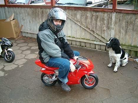 MiniBike racer billede 7