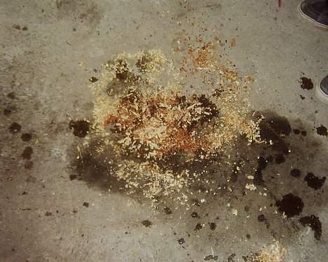 Puch Maxi K ! FØR SOLGT billede 5