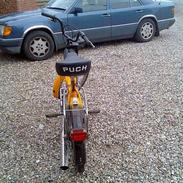 Puch Maxi k "SOLGT"