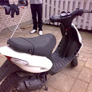 Gilera stalker