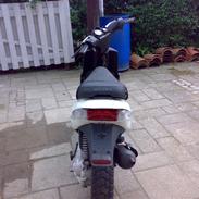 Gilera stalker