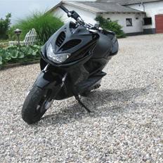 Yamaha Aerox(roxie)   