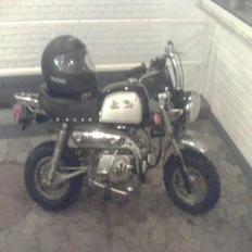 Skyteam gorilla total skadet :(