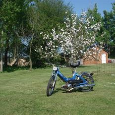 Puch Maxi k  (solgt for 3350)