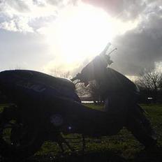 PGO DR. big (smadret)