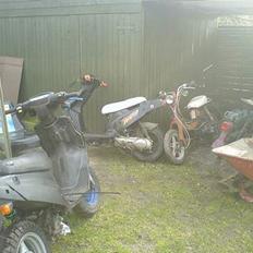 PGO Hot 50 - Team spy