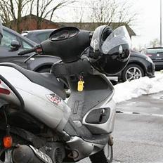 Benelli 491 GT - SOLGT