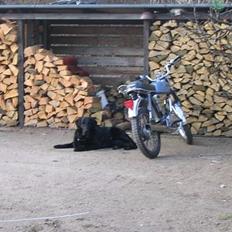 Yamaha fs 1 dx 4 gear