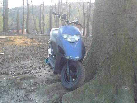 Honda sfx SOLGT  billede 1