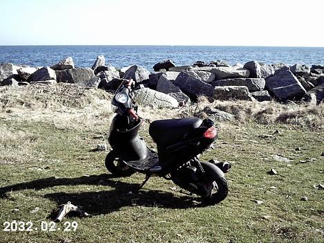 PGO   Black Magic billede 3